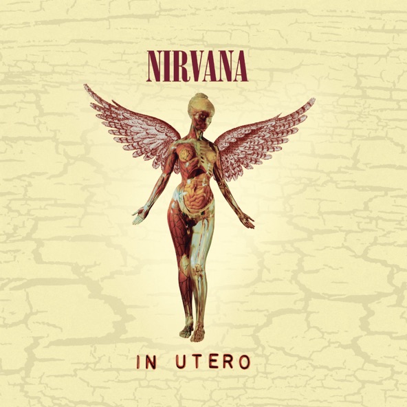 In Utero (20th Anniversary Edition)